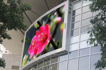 學校運動籃球地板市場價格表