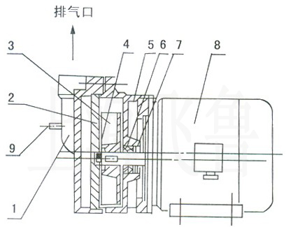上海專業(yè)體育木地板工廠