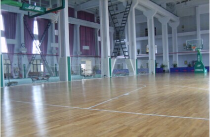 體育木地板 體育木地板