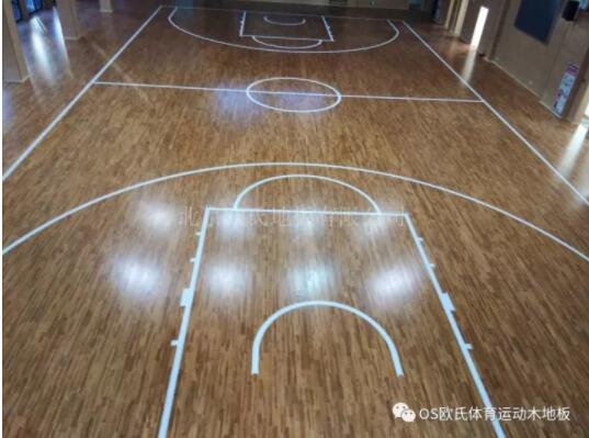 ���K��ɽ��ϣС�W(xu��)�w���^ľ�ذ��(xi��ng)Ŀ����