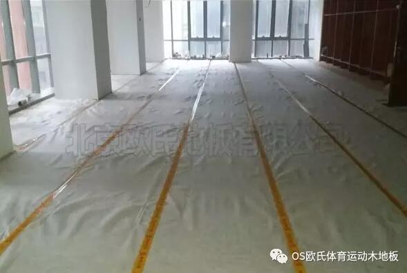 ���������y���赸��ľ�ذ尸��