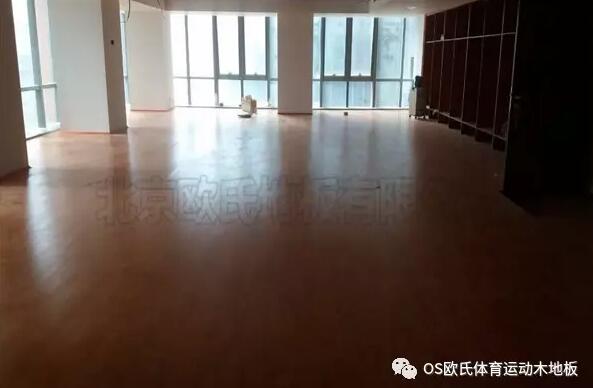 ���������y���赸��ľ�ذ尸��