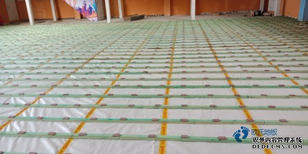 楓木籃球地板多少錢